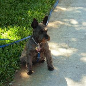 Meet your Posher, Lorne